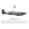 Spitfire Mk Vb BM515, F/L Arthur Roscoe, No 165 (Ceylon) Squadron, Royal Air Force, May 1943
