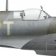 Supermarine Spitfire Mk Vb BM515, F/L Arthur Roscoe, No 165 (Ceylon) Squadron, Royal Air Force, mai 1943