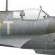 Supermarine Spitfire Mk Vb BM515, F/L Arthur Roscoe, No 165 (Ceylon) Squadron, Royal Air Force, May 1943