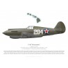 P-40B Warhawk G-CDWH, The Fighter Collection, Duxford
