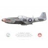 P-51D Mustang "Baby Mine", Lt Stephen C. Ananian, 505th Fighter Squadron, 339th Fighter Group