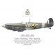 Supermarine Spitfire Mk Vb AD196, Capt Victor France, No 71 "Eagle" Squadron, Royal Air Force, February 1942