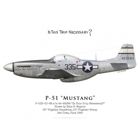North American P-51D Mustang 44-63289 "Is This Trip Necessary?", 53rd Fighter Squadron, 21st Fighter Group, 1945