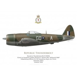 Republic Thunderbolt Mk II HD282, S/L McDonald, CO No 134 Squadron RAF, India, 1944