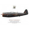 Thunderbolt Mk II, G/C Frank Carey, No 73 OTU, Egypte, 1945