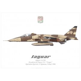 Jaguar A, EC 2/11 "Vosges", Opération Epervier, Tchad, 1986