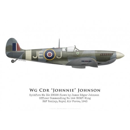 Wing Commander Johnnie Johnson RAF Spitfire WW2 WWII #102 5 x 7 