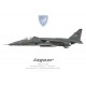 Jaguar A, Escadron de Chasse 1/7 "Provence", BA 113 Saint-Dizier-Robinson, French Air Force