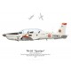TB-30 Epsilon n°69, EPAA 00.315, BA 709 Cognac-Châteaubernard, 2013