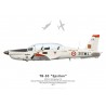 TB-30 Epsilon n°69, EPAA 00.315, BA 709 Cognac-Châteaubernard, 2013