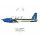 TB-30 Epsilon, Patrouille acrobatique Cartouche Doré, BA 709 Cognac-Châteaubernard, 2011