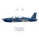 TB-30 Epsilon, Patrouille acrobatique Cartouche Doré, BA 709 Cognac-Châteaubernard, 2012