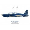 TB-30 Epsilon, Patrouille acrobatique Cartouche Doré, BA 709 Cognac-Châteaubernard, 2012