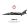 Jaguar A, Ailes Anciennes de Toulouse