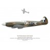 Spitfire PR.XIX, PS890, F-AZJS, France, 2020