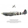 Spitfire TR 9 MJ772, G-AVAV, Biggin Hill, 2019