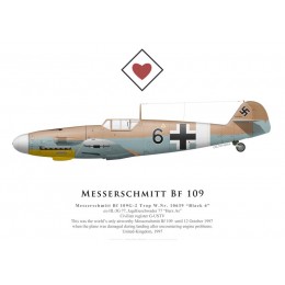Messerschmitt Bf 109G-2 Trop, "Black 6", G-USTV, 1997