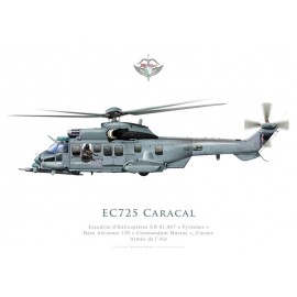 EC725 Caracal, Escadron d'Hélicoptères EH 01.067 "Pyrenées", BA 120 Cazaux