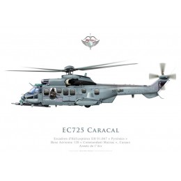 Eurocopter EC725 Caracal, Escadron d'Hélicoptères EH 01.067 "Pyrenées", BA 120 Cazaux
