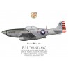 P-51D Mustang "Buzz Boy IV", Capt. William Burlingame, 41st FS, 35th FG, 1947