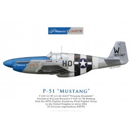 P-51C Mustang "Princess Elizabeth", N487FS, US