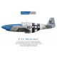 P-51C Mustang 43-25147 "Princess Elizabeth", N487FS, US