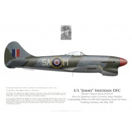 Tempest V, S/L "Jimmy" Sheddan, CO No 486 (NZ) Squadron, Royal Air Force, Fassberg, Germany, late May 1945