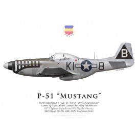 P-51D Mustang, Lt Joe Peterburs, 55th Fighter Squadron, 20th Fighter Group, 1945