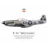 P-51D Mustang, Lt Joe Peterburs, 55th Fighter Squadron, 20th Fighter Group, 1945