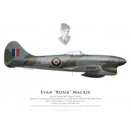 Tempest V SN228, W/C Evan "Rosie" Mackie, OC No 122 Wing, Royal Air Force, Fassberg, 1945