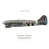 Tempest V EJ712, No 486 (NZ) Squadron, Royal Air Force, Volkel, 1944