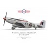 Mustang Mk IV, KM148, S/L J. W. Foster, CO No 65 Squadron, Royal Air Force, May 1945