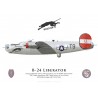 B-24J "Black Cat", 785th Bomb Squadron, 466th Bomb Group, 8th Air Force, 1945