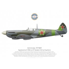Spitfire Mk IX, PT989, VVS