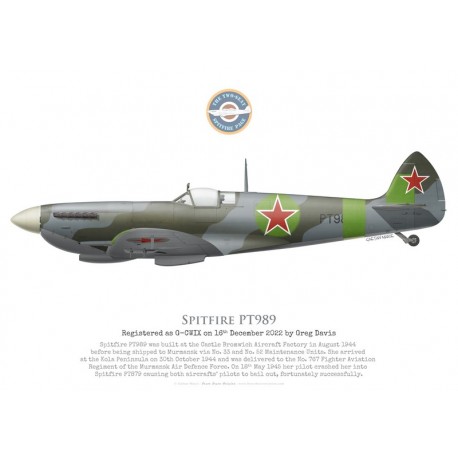 Supermarine Spitfire Mk IX, PT989, VVS