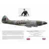 G/C Johnnie Johnson, Spitfire Mk XIV, No 125 Wing, 1945
