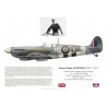 W/C Johnnie Johnson, Spitfire Mk IX, No 127 (RCAF) Wing, 1944