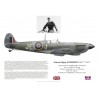 W/C Johnnie Johnson, Spitfire Mk IX, No 127 (RCAF) Wing, 1945