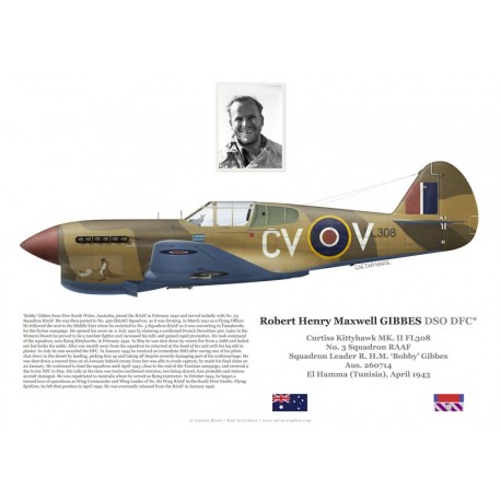 S/L Robert Gibbes, Kittyhawk Mk II FL308, No 3 Squadron RAAF, 1943