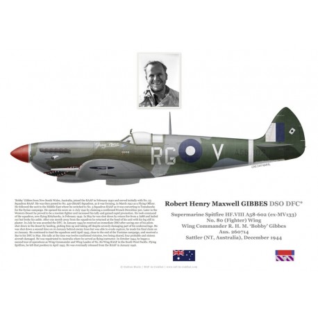W/C Robert Gibbes, Spitfire HF. VIII A58-602 (ex MV133), No 80 Wing ...