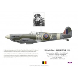 S/L Yvan du Monceau de Bergendael, Spitfire Mk IX ML365, No 349 (Belgian) Squadron, 1944