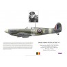 S/L Désiré Guillaume, Spitfire Mk Vb BM381, No 350 (Belgian) Squadron, 1942