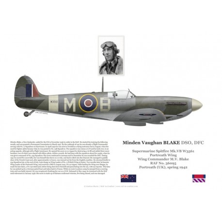 W/C Minden Blake, Spitfire Mk Vb W3561, Portreath Wing, 1942