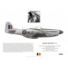 W/C Michel Donnet, Mustang Mk IVA KM121, Bentwaters Wing, 1945