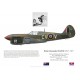 S/L Brian Eaton, Kittyhawk Mk II FS490, No 3 Squadron RAAF, 1944