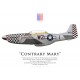 North American TF-51D Mustang "Contrary Mary", G-TFSI, 2022
