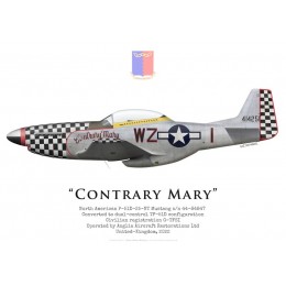 North American TF-51D Mustang "Contrary Mary", G-TFSI, 2022