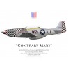 TF-51D Mustang "Contrary Mary", G-TFSI, 2022