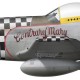 North American P-51D Mustang "Contrary Mary", Lt Col Roy Caviness, CO 78th Fighter Group, 1945