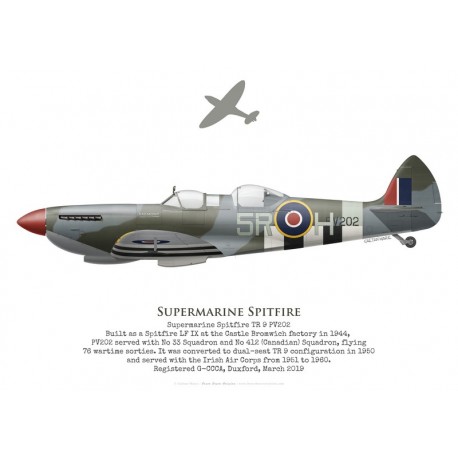 Supermarine Spitfire TR 9 PV202, G-CCCA, Duxford, 2019